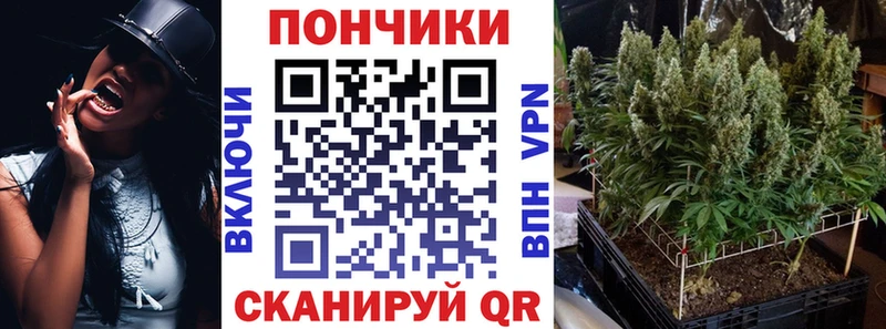 Галлюциногенные грибы Городец