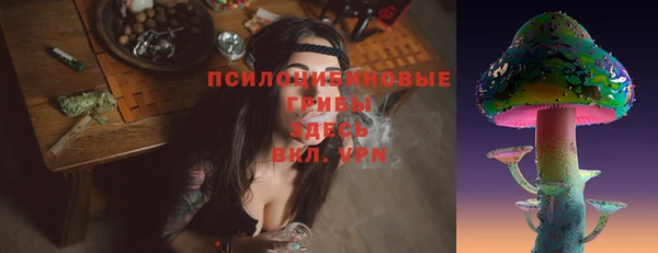 ешки Богородск
