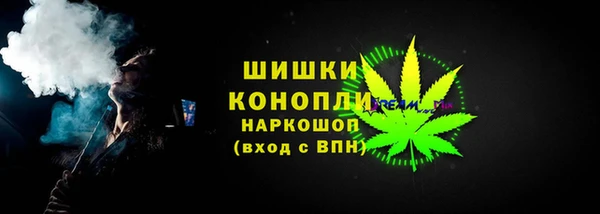 спиды Богданович
