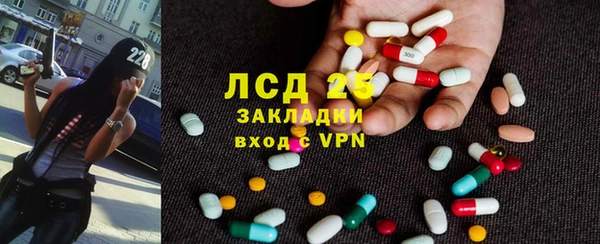 спиды Богданович