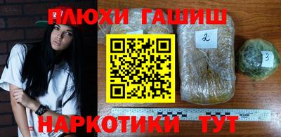 PSILOCYBIN Анжеро-Судженск