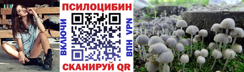Псилоцибиновые грибы Magic Shrooms  продажа наркотиков  Городец 