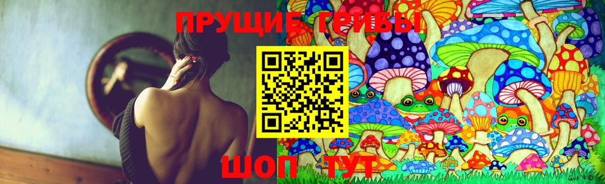Городец  Псилоцибиновые грибы Cubensis  где продают   Вход с VPN 