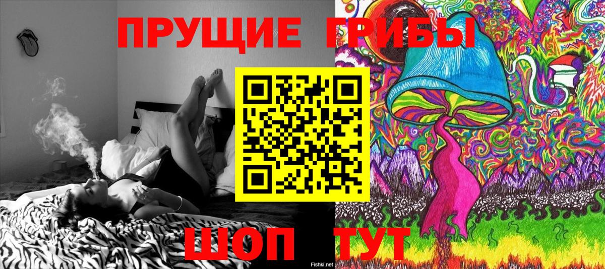 Псилоцибиновые грибы мицелий Городец